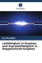Aco Muradjan - Leitfähigkeit in Graphen und Supraleitfähigkeit in Doppelschicht-Graphen
