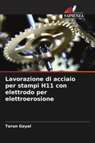 Tarun Goyal - Lavorazione di acciaio per stampi H11 con elettrodo per elettroerosione