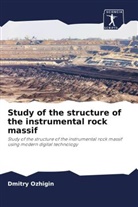 Dmitry Ozhigin - Study of the structure of the instrumental rock massif
