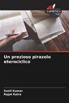 Rajat Kalra, Sunil Kumar - Un prezioso pirazolo eterociclico