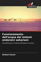Khaled Chaïch - Funzionamento dell'acqua dei sistemi endoreici sahariani