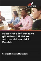 Comfort Lubinda Mulundano - Fattori che influenzano gli afflussi di IDE nel settore dei servizi in Zambia