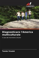 Tamás Vraukó - Diagnosticare l'America multiculturale