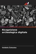 Vaidutis ¿Utautas, Vaidutis Zutautas - Ricognizione archeologica digitale