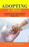David Andrews - Adopting a Child