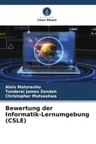 Tonderai James Zendah, Alois Matorevhu, Mutseekwa, Christopher Mutseekwa - Bewertung der Informatik-Lernumgebung (CSLE)