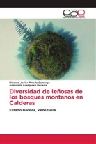 Anairamiz Aranguren Becerra, Ricardo Javier Pineda Camargo - Diversidad de leñosas de los bosques montanos en Calderas