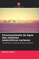 Khaled Chaïch - Funcionamento da água dos sistemas endorídricos sarianos