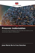 Jose María de la Cruz Sánchez - Preuves indéniables