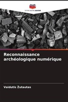 Vaidutis ¿Utautas, Vaidutis Zutautas - Reconnaissance archéologique numérique