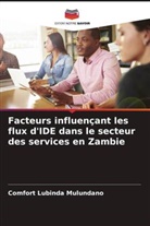 Comfort Lubinda Mulundano - Facteurs influençant les flux d'IDE dans le secteur des services en Zambie