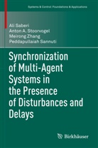 Ali Saberi, Peddapullaiah Sannuti, Anton A Stoorvogel, Anton A. Stoorvogel, Meirong Zhang, Meirong et Zhang - Synchronization of Multi-Agent Systems in the Presence of Disturbances and Delays