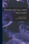 Elizabeth Peckham, George Williams Peckham - Wasps, Social and Solitary