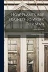 Luther Burbank - How Plants Are Trained To Work For Man: Grafting And Budding