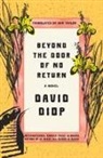 David Diop, David/ Taylor Diop - Beyond the Door of No Return