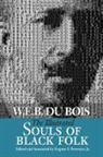 W. E. B. Du Bois, W. E. B. Provenzo Du Bois, Du Bois W. E. B., Eugene F. Provenzo - Illustrated Souls of Black Folk