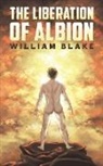 William Blake - The Liberation of Albion