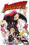 David Mack, David Palmiotti Mack, Mack David, Jimmy Palmiotti, Palmiotti Jimmy, Joe Quesada... - Daredevil: Parts of a Hole