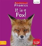 Ann Hill, Hill Ann - It is a Fox! (Set 3) Matched to Little Wandle Letters and Sounds Revised