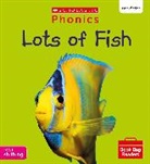 Suzy Ditchburn - Lots of Fish (Set 4) Matched to Little Wandle Letters and Sounds Revised