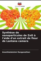 Ananthalakshmi Ranganathan - Synthèse de nanoparticules de ZnO à l'aide d'un extrait de fleur de Lantana camara