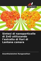 Ananthalakshmi Ranganathan - Sintesi di nanoparticelle di ZnO utilizzando l'estratto di fiori di Lantana camara