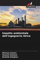 Shahide Dehghan, Hossein Gholami, Morteza Soltani - Impatto ambientale dell'ingegneria idrica