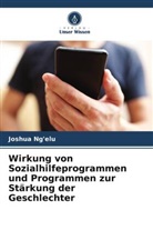 Joshua Ng'elu - Wirkung von Sozialhilfeprogrammen und Programmen zur Stärkung der Geschlechter