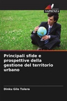 Dinku Gilo Tolera - Principali sfide e prospettive della gestione del territorio urbano