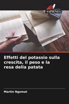 Martin Ngomat - Effetti del potassio sulla crescita, il peso e la resa della patata