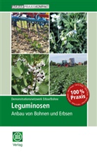 Bohne, Demonstrationsnetzwerk Erbse/Bohne, Demonstrationsnetzwerk Erbse - Leguminosen