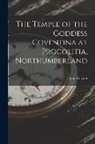 John Clayton - The Temple of the Goddess Coventina at Procolitia, Northumberland