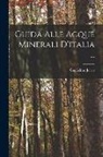 Guglielmo Jervis - Guida Alle Acque Minerali D'italia