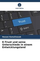Hassan Kamalinasab - E-Trust und seine Unterschiede in einem Entwicklungsland