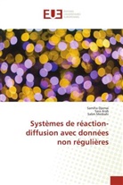 Sara Arab, Samiha Djemai, Salim Mesbahi - Systèmes de réaction-diffusion avec données non régulières
