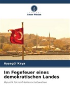 Ay¿egül Kaya, Aysegül Kaya - Im Fegefeuer eines demokratischen Landes