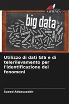 Saeed Abbaszadeh - Utilizzo di dati GIS e di telerilevamento per l'identificazione dei fenomeni