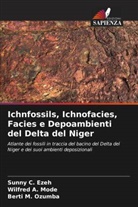 Wilfred A. Mode, Sunny C. Ezeh, Berti M. Ozumba - Ichnfossils, Ichnofacies, Facies e Depoambienti del Delta del Niger