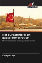 Ay¿egül Kaya, Aysegül Kaya - Nel purgatorio di un paese democratico