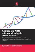 Eyoab Iyasu Gebremeskel - Análise do ADN mitocondrial e do cromossoma Y
