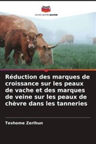 Teshome Zerihun - Réduction des marques de croissance sur les peaux de vache et des marques de veine sur les peaux de chèvre dans les tanneries