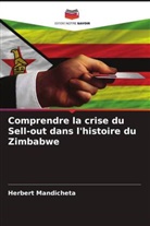 Herbert Mandicheta - Comprendre la crise du Sell-out dans l'histoire du Zimbabwe