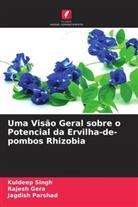Rajesh Gera, Jagdish Parshad, Kuldeep Singh - Uma Visão Geral sobre o Potencial da Ervilha-de-pombos Rhizobia