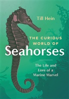 Till Hein - The Curious World of Seahorses