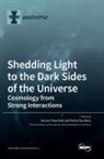 Roman Pasechnik, Michal Sumbera - Shedding Light to the Dark Sides of the Universe
