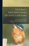 Rodolfo Amando Philippi, Museo Nacional de Historia Natural (C - Figuras i descripciones de aves chilenas