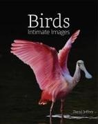 David Jeffrey - Birds: Intimate Images