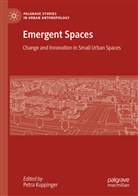 Petra Kuppinger - Emergent Spaces