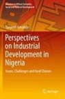 Oyeyemi Adegbite - Perspectives on Industrial Development in Nigeria
