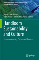 Miguel Ángel Gardetti, Miguel Ángel Gardetti, Subramanian Senthilkannan Muthu, Senthilkannan Muthu - Handloom Sustainability and Culture